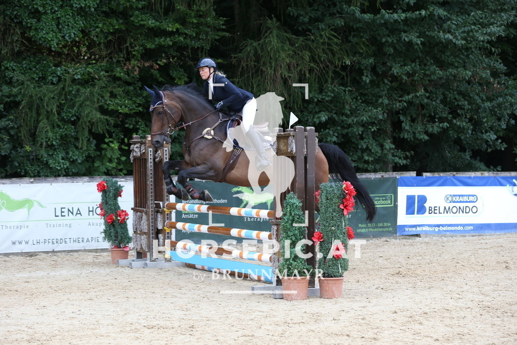 DL2Q5343 | Willkommen bei Brunnmayr - Design & Fotografie – Ihrem Spezialisten für Reitturniere und Pferdeveranstaltungen in Oberösterreich, Salzburg und Bayern! Seit über 17 Jahren sind wir leidenschaftlich dabei.