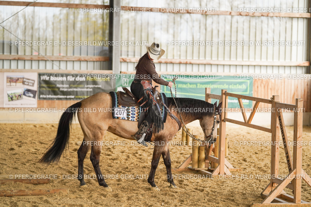 DSC01749 | Pferdegrafie