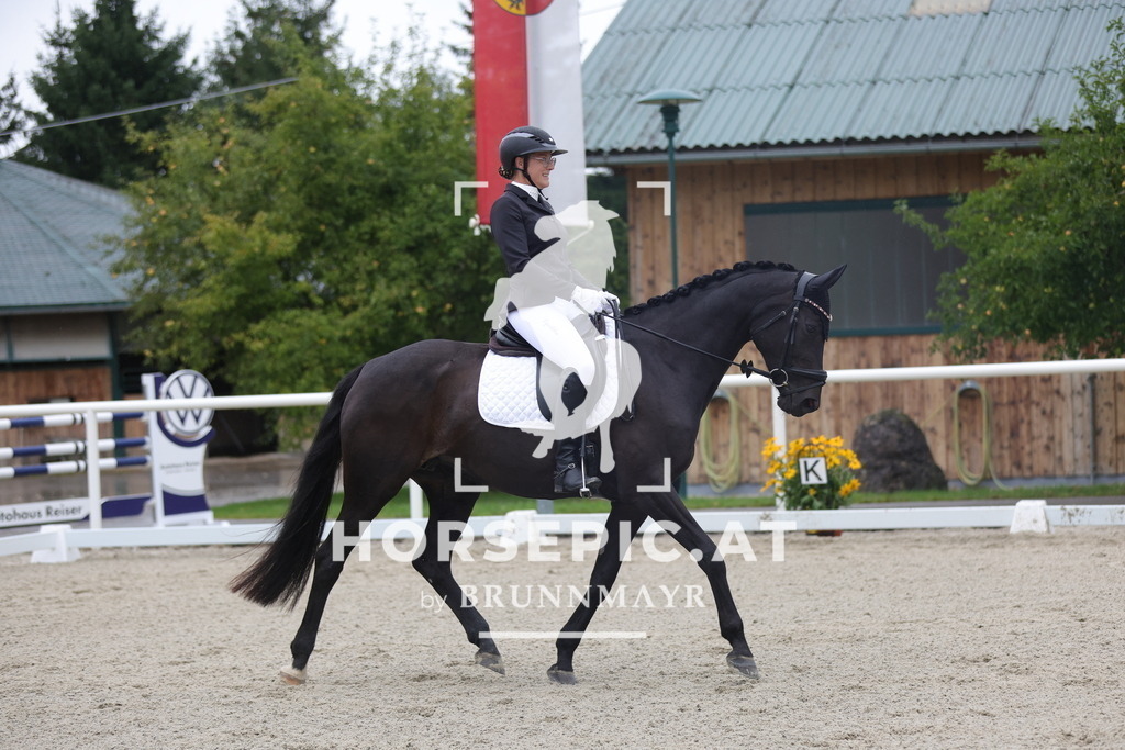0P6A9885 | Willkommen bei Brunnmayr - Design & Fotografie – Ihrem Spezialisten für Reitturniere und Pferdeveranstaltungen in Oberösterreich, Salzburg und Bayern! Seit über 17 Jahren sind wir leidenschaftlich dabei.