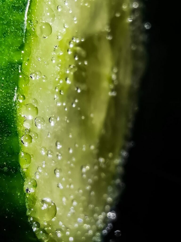 PSX_20230103_232718 | mtkfoto_ - Realisiert mit Pictrs.com