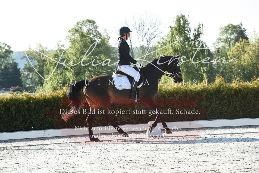 20230518_JK-Röhrsdorf-09-0100 | Pferde- und Turnierfotografie in Westsachsen. Pferdeportraits, Auftragszeichnungen und intuitive Kunst.