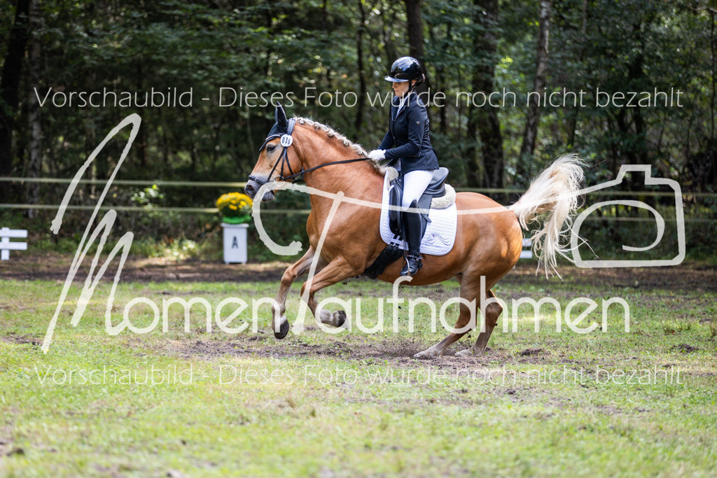 HB-Dressur-WB-048 | MomenTaufnahmen Pferdesportfotos