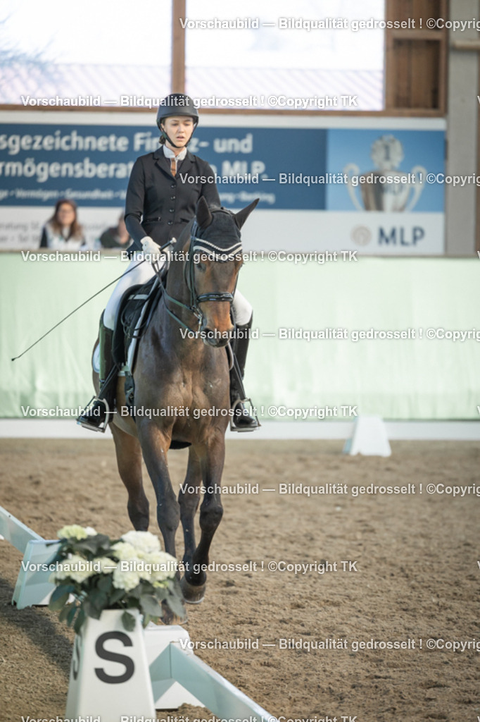 _D5A2930 | Emotionale Pferde- & People-Fotografie rund um Heidelberg, Leimen & Umgebung. Natürliche Fotos von Pferd, Mensch & Familie. Jetzt Termin sichern!