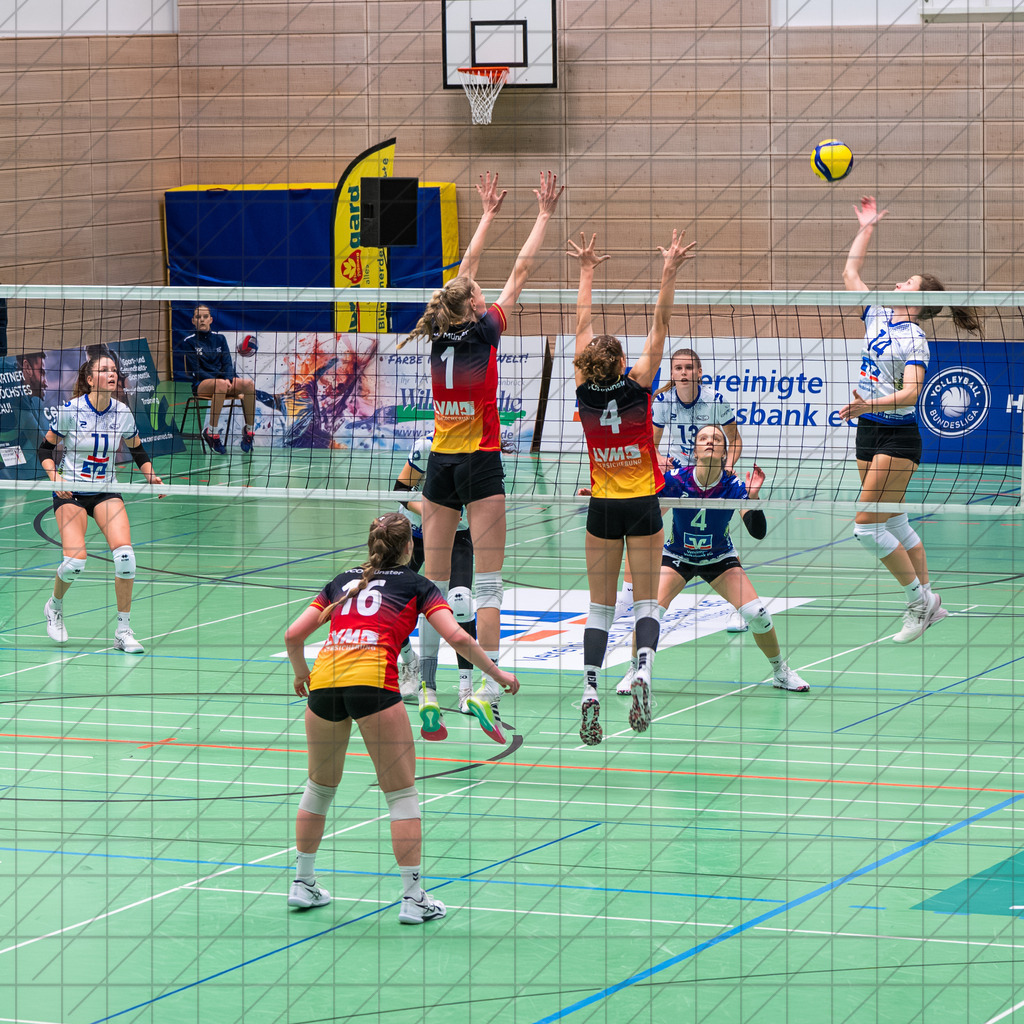 2. VBLF Nord 25/26 | Spiel 4154 | VC Osnabrück vs. VCO Münster | //  29.11.25: 2. VBLF Nord 25/26 | Spiel 4154 | VC Osnabrück vs. VCO Münster / Osnabrück / Deutschland  //   CREDIT:www.bullenfotos.de, Martin König, Hörner Weg 40, D-49078 Osnabrück, +4917663732967 // Nutzung und Weitergabe nur zu den vereinbarten Zwecken. Presseanfragen an Ersteller. Alle Rechte beim Ersteller. Honorierung nach MFM. - Realisiert mit Pictrs.com