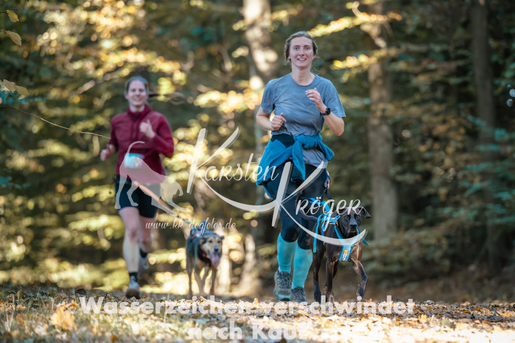1001_ZZ98941 | kk-dogfotos
