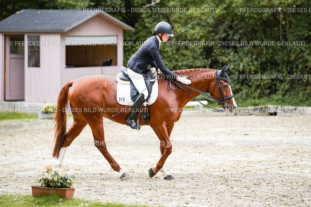 DSC00869 | Pferdegrafie