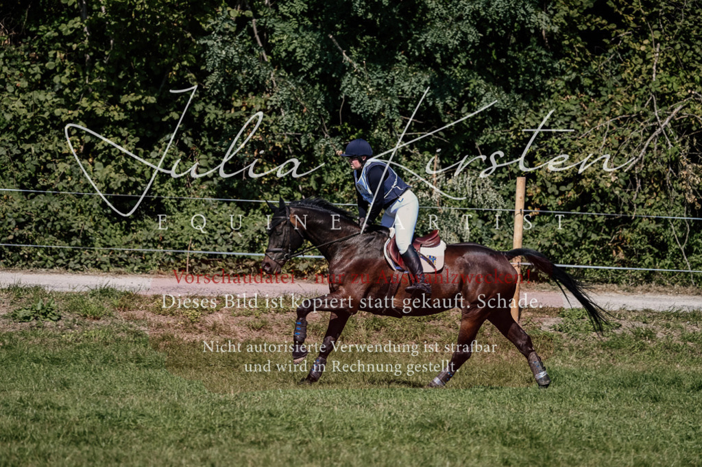 DSC_1609 | Pferde- und Turnierfotografie in Westsachsen. Pferdeportraits, Auftragszeichnungen und intuitive Kunst.