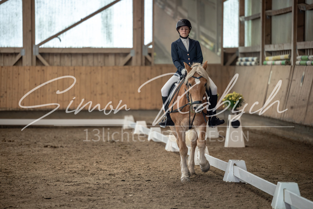 20251011-_3LI8369 | Tierfotografie Pferde, Hunde, Katzen, Haustiere.
Turnierfotografie Reitturniere, Reiten, Springreiten, Dressur in Hanau, dem Main-Kinzig-Kreis und dem Rhein-Main- Gebiet um Frankfurt