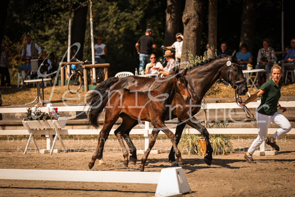 07.DoWBS00048 | Leoni Ertmer Photography - Realisiert mit Pictrs.com