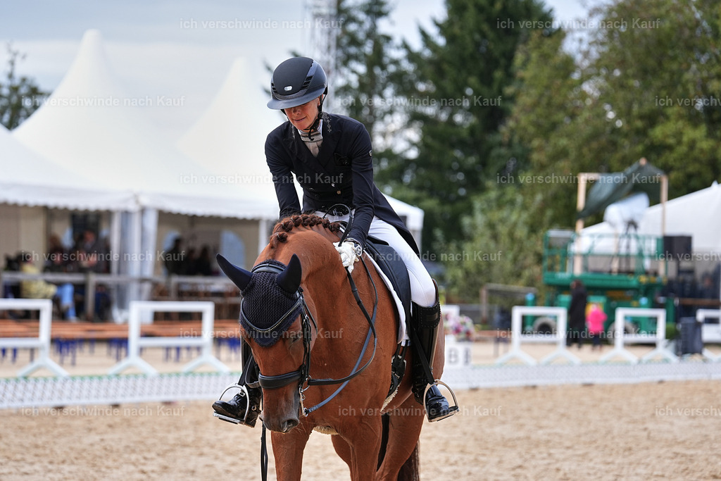 12-220-DRESSUR  S___  -Marixx-5222 | working equitationturnier fotograf videograf stoibphotography marixx film working equitation deutschland reitsport turnierfotografie eventfotografie equestrian events