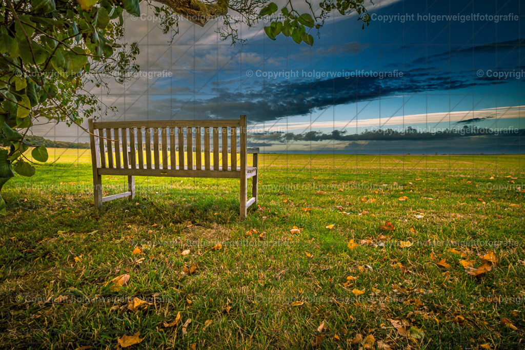 20221008084526D75_0686 | Kaufen sie online außergewöhnliche Fotografien auf Leinwand Acrylglas Fotoprint Aludibond von holgerweigeltfotografie - Realisiert mit Pictrs.com