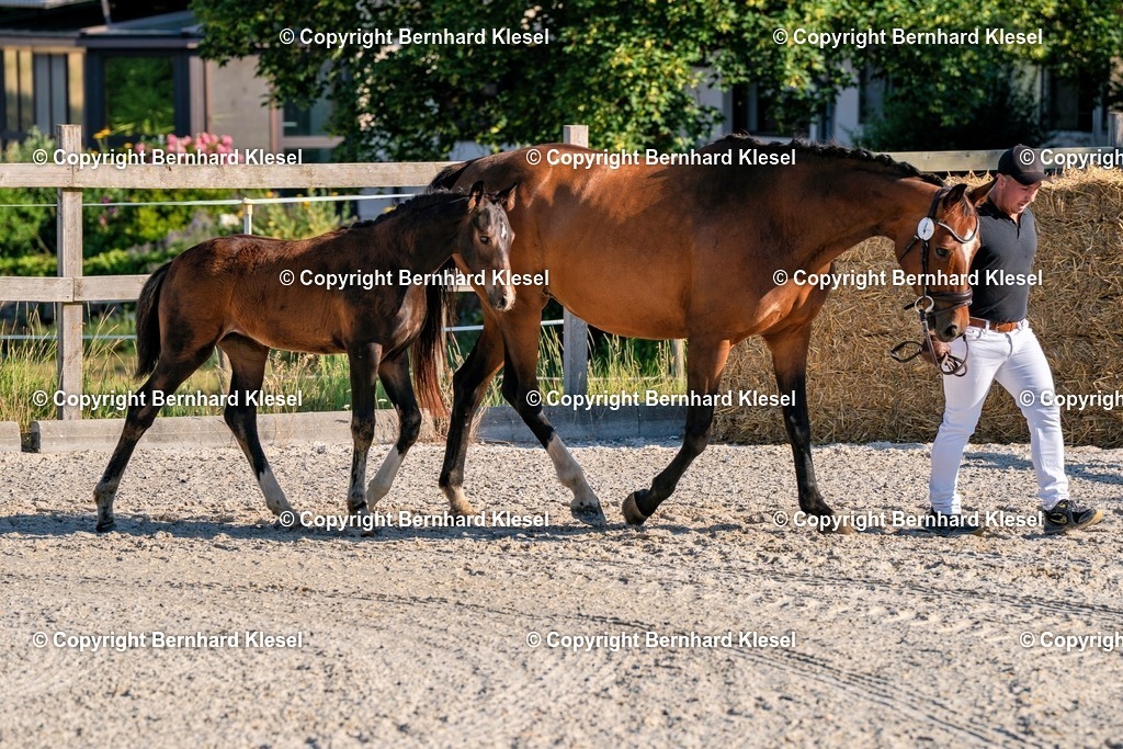 2A905757 | foto-team-bernhard - Realisiert mit Pictrs.com