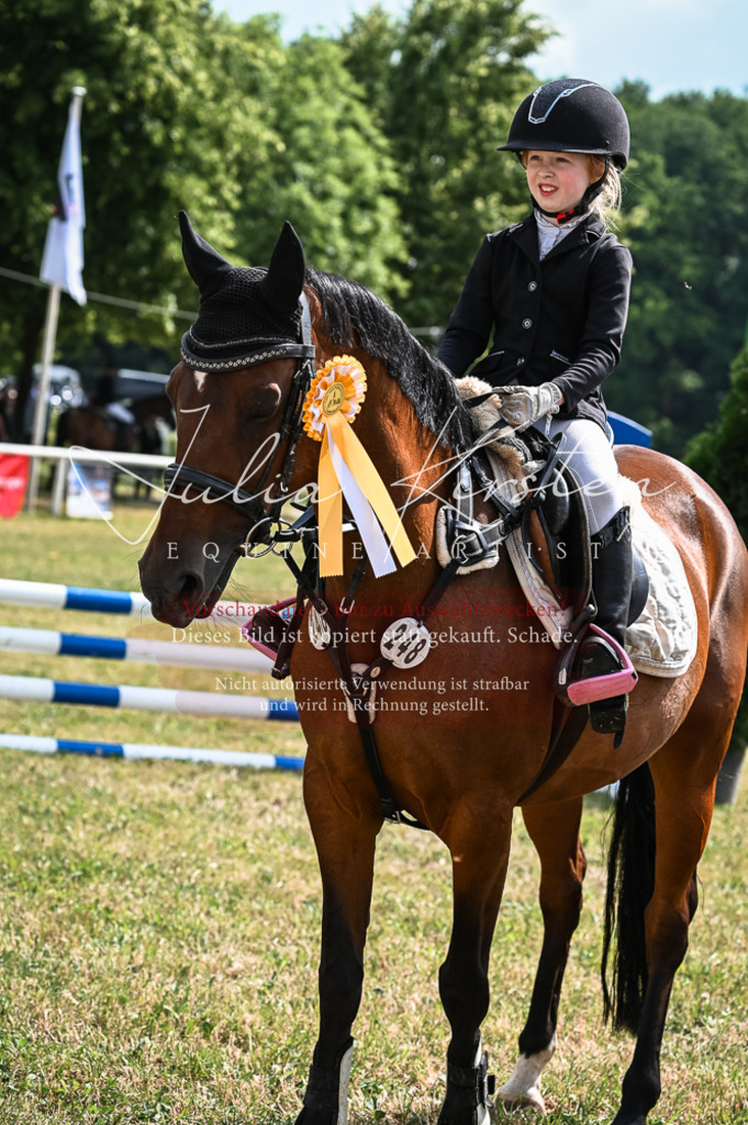 DSC_8601 | Pferde- und Turnierfotografie in Westsachsen. Pferdeportraits, Auftragszeichnungen und intuitive Kunst.