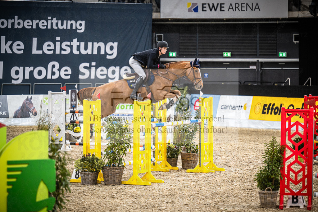 DOS_1674 | Entdecke hochwertige Reitturnierfotos von Foto Oger. Professionell, emotional und authentisch – jetzt Lieblingsmomente im Shop bestellen.Deutschlandweite Turnierfotografie. - Realisiert mit Pictrs.com