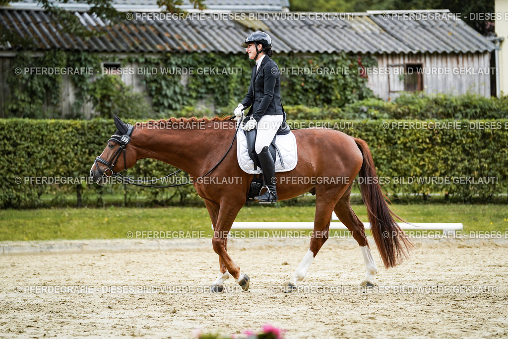 DSC08157 | Pferdegrafie