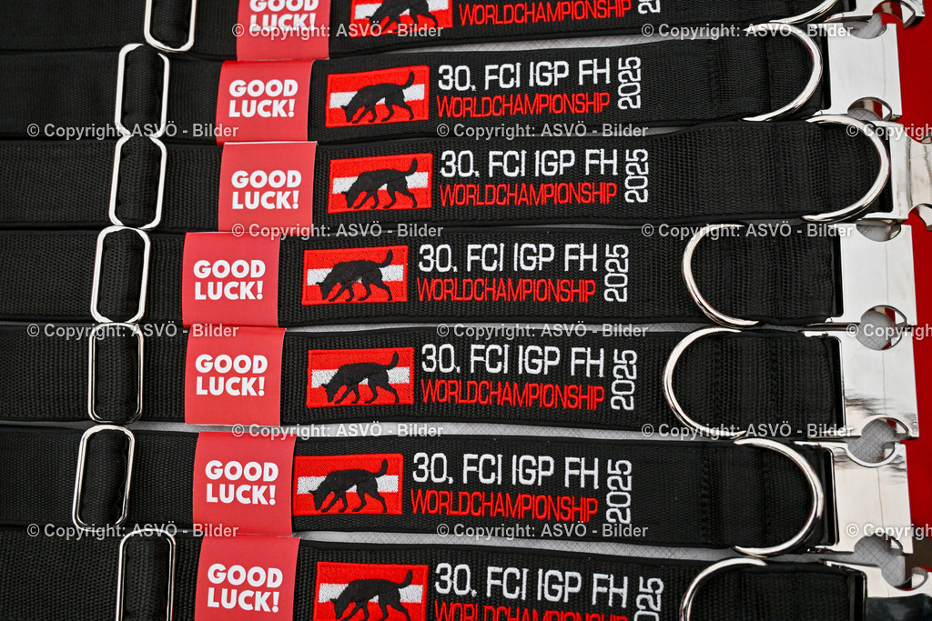 ASVÖ_ Tracking Dog World Championship 2025_ 31.03.2025-304 | 31.03.2025, AUT, ASVÖ, Tracking Dog World Championship // FCI IGP Fährtenhundeweltmeisterschaft 2025©fodo.media / Harald Dostal - Realisiert mit Pictrs.com