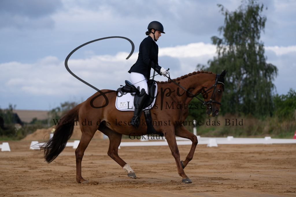 A7V05106 | Pferdefotograf