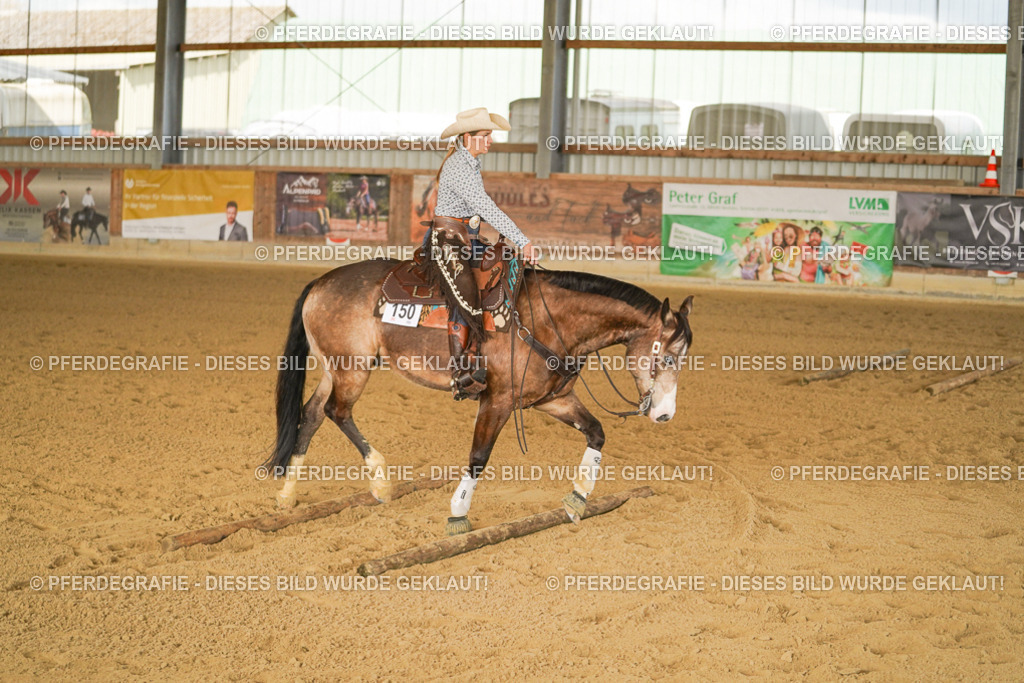 DSC02779 | Pferdegrafie