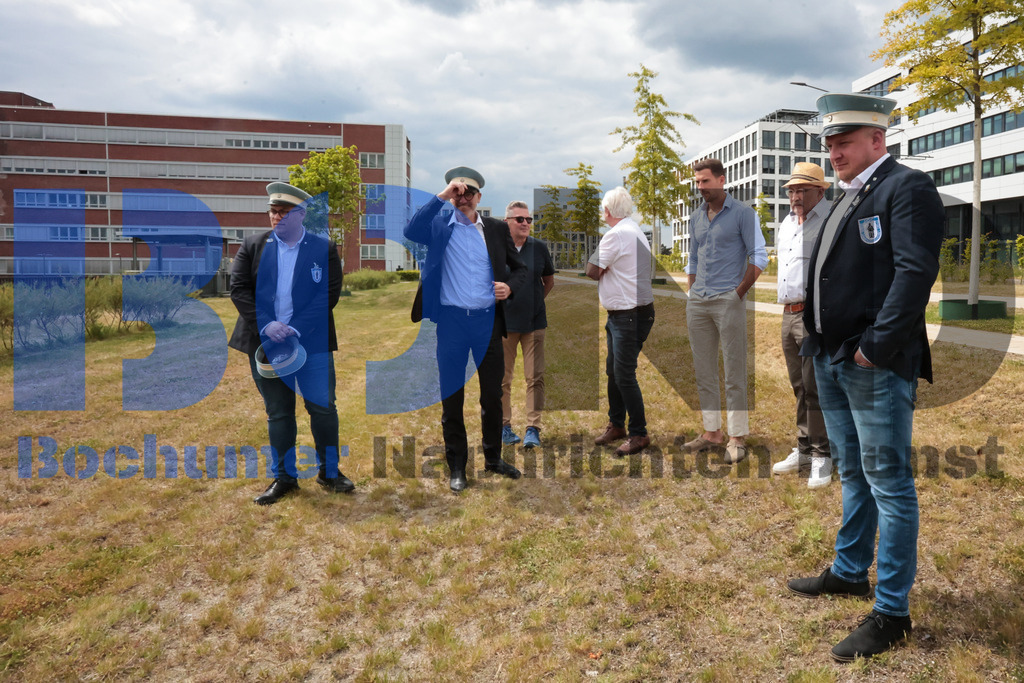 Eicheingrabung | Eicheingrabung - Realisiert mit Pictrs.com