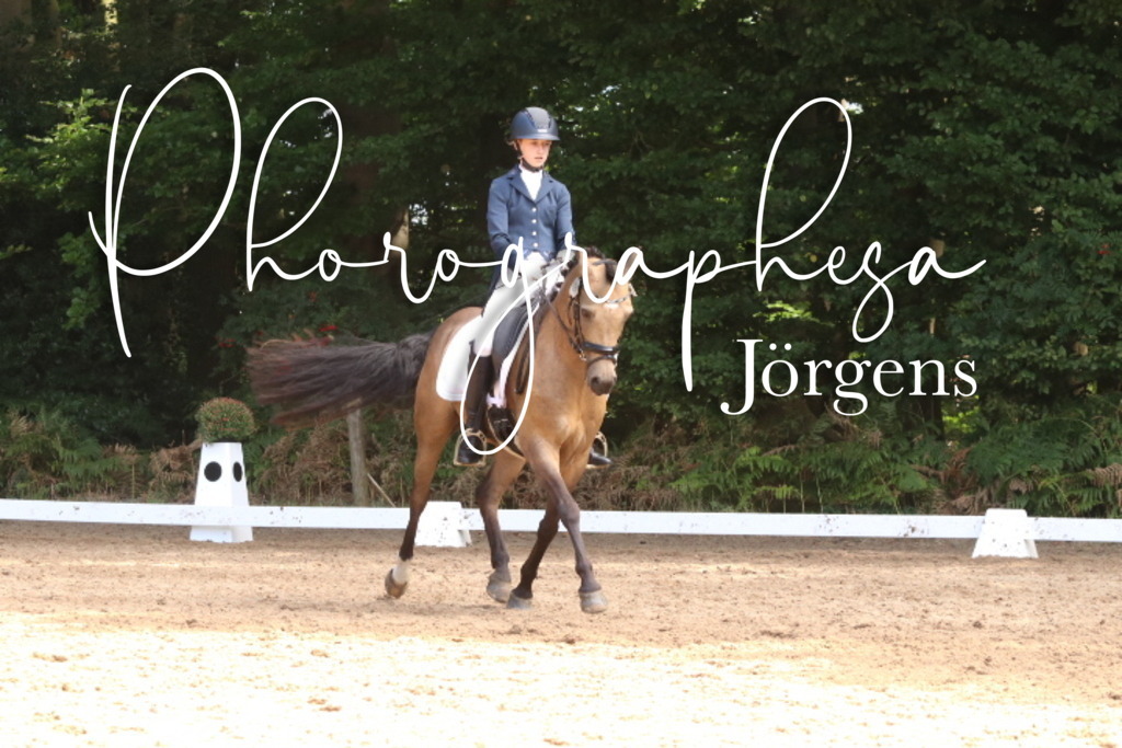 IMG_0477 | photographesa-joergens - Realisiert mit Pictrs.com