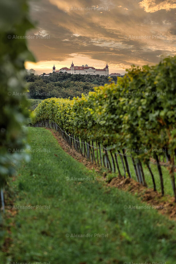 foto_c_pfeffel-partner-0029-R5_12403-HDR-Bearbeitet | alexander-pfeffel - Realisiert mit Pictrs.com