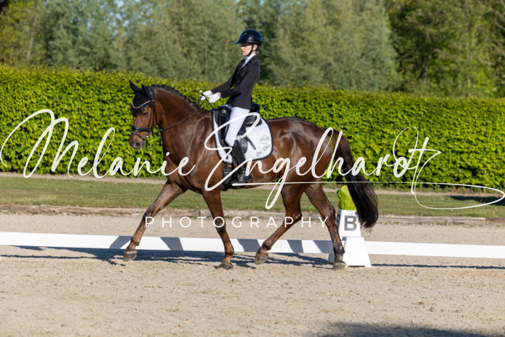 7I8A8261 | melanie-engelhardt-photography - Realisiert mit Pictrs.com