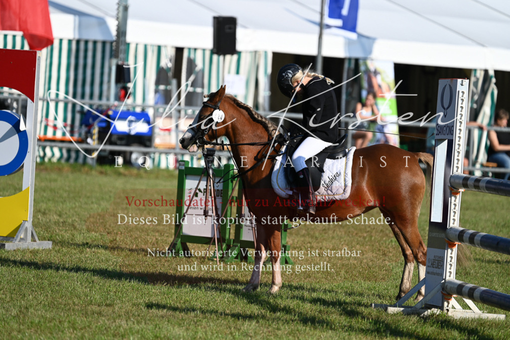 DSC_4816 | Pferde- und Turnierfotografie in Westsachsen. Pferdeportraits, Auftragszeichnungen und intuitive Kunst.