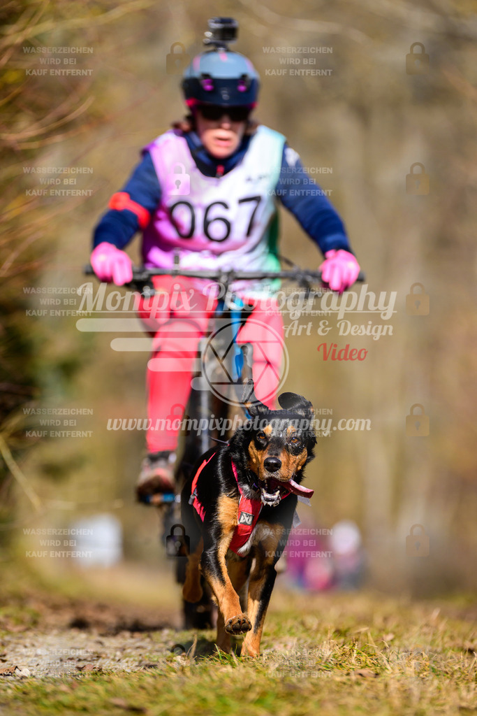 MompixPhotography_Schwabentrail2025_SO_Bike-111 | PayLife