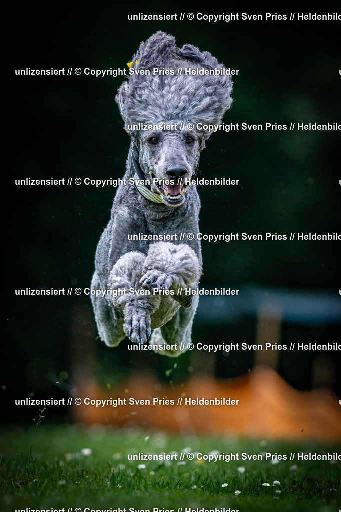 Sven Pries | 2025-05-29 - Pudelrennen KA-Durlach - Realisiert mit Pictrs.com