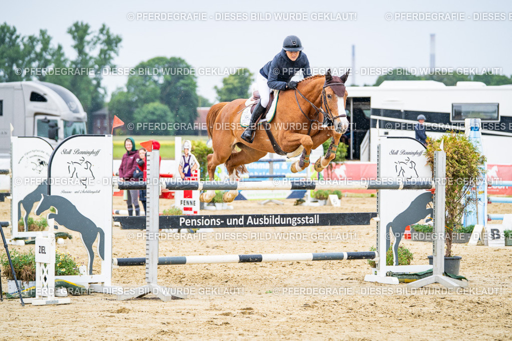 DSC07500 | Pferdegrafie