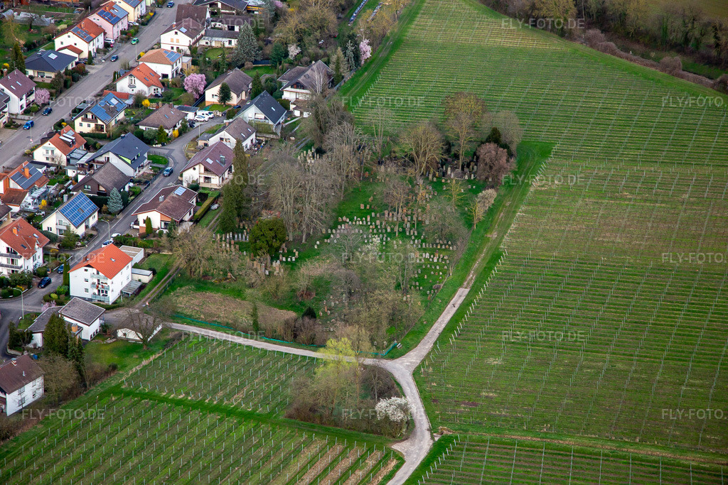 Luftbild: Jüdischer Friedhof Ingenheim im Ortsteil Ingenheim in Billigheim-Ingenheim im Bundesland Rheinland-Pfalz in Deutschland. Foto: IMG_140089.jpg vom 14.03.2024 durch Werner Riehm/FLY-FOTO.deLANDAU-LAND.DE