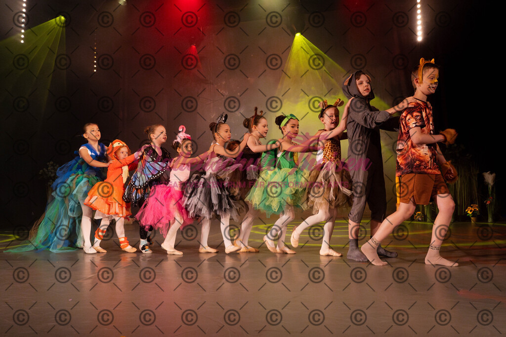 Ballettaufführung-1044 | Bildershop Lem'n Entertainment - Realisiert mit Pictrs.com