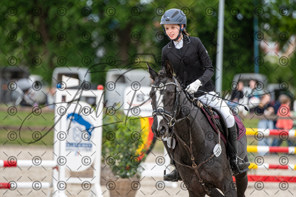 KPT_6199 | andre_photographic