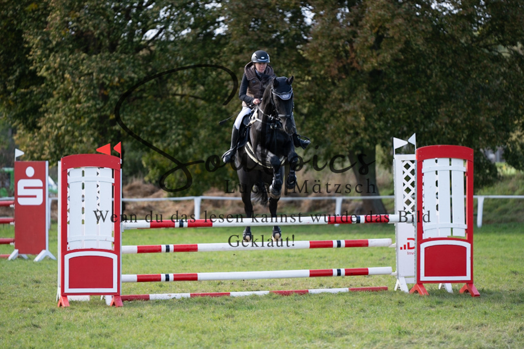 A7V07005 | Pferdefotograf