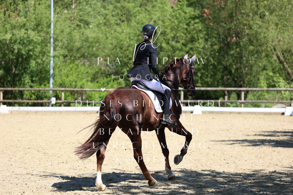 IMGS1106 | pl-fotografie