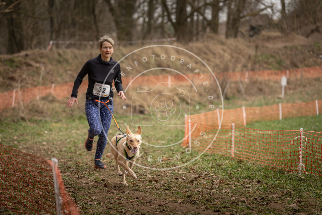 Pfotenfotografie_DV3A9103 | Hundefotografie, Tierfotograf, Pfotenfotografie, Fotoshooting Hund, Hunde Portrait, Hundesport, Hundeportraits, Heideshooting, Hunde, Sportfotograf, Hundefotograf, Turnierhundsport, THS,  - Realisiert mit Pictrs.com