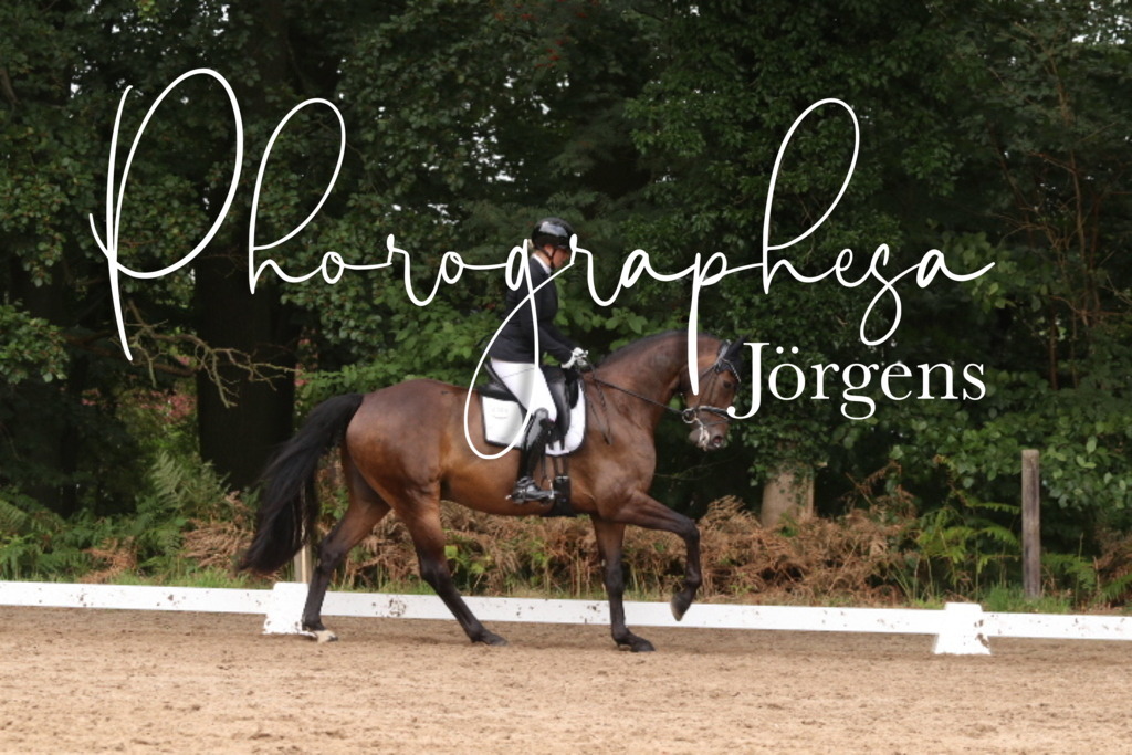 IMG_9879 | photographesa-joergens - Realisiert mit Pictrs.com