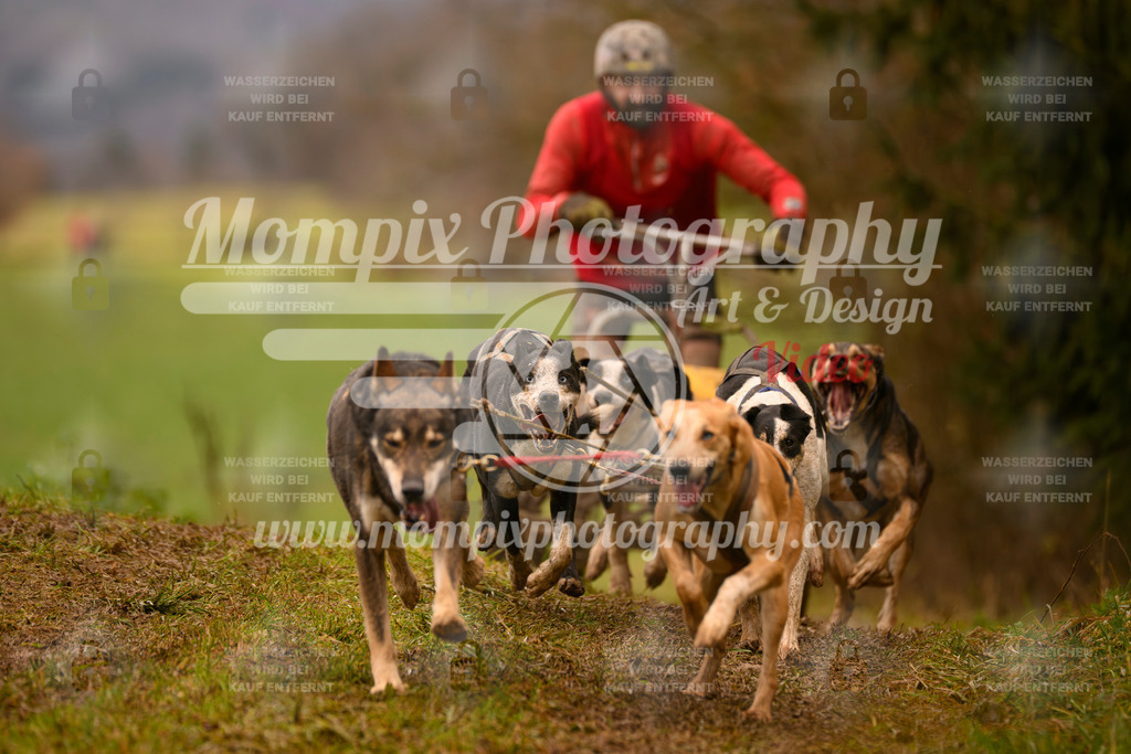 MompixPhotography_2SSTSSBW_2025_SO_Kart-55 | PayLife