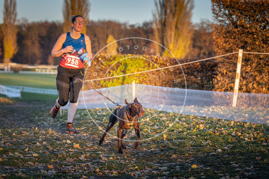 CaniXpix_DV3A5777 | Hundefotografie, Tierfotograf, Pfotenfotografie, Fotoshooting Hund, Hunde Portrait, Hundesport, Hundeportraits, Heideshooting, Hunde, Sportfotograf, Hundefotograf, Turnierhundsport, THS,  - Realisiert mit Pictrs.com