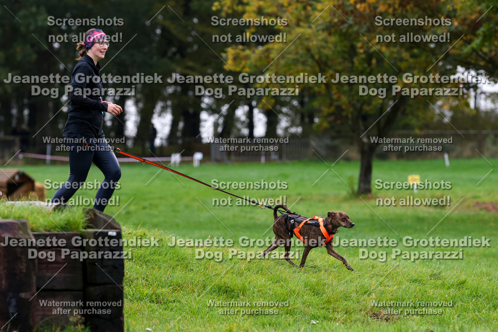 Dog Paparazzi -  SD1026-1241 | Dog Paparazzi Jeanette Grottendiek Fotografie & Videografie - Realisiert mit Pictrs.com