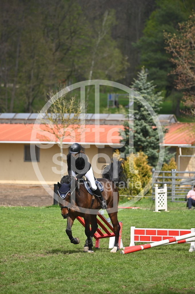 DSC_3881 | sattelsport - Realisiert mit Pictrs.com