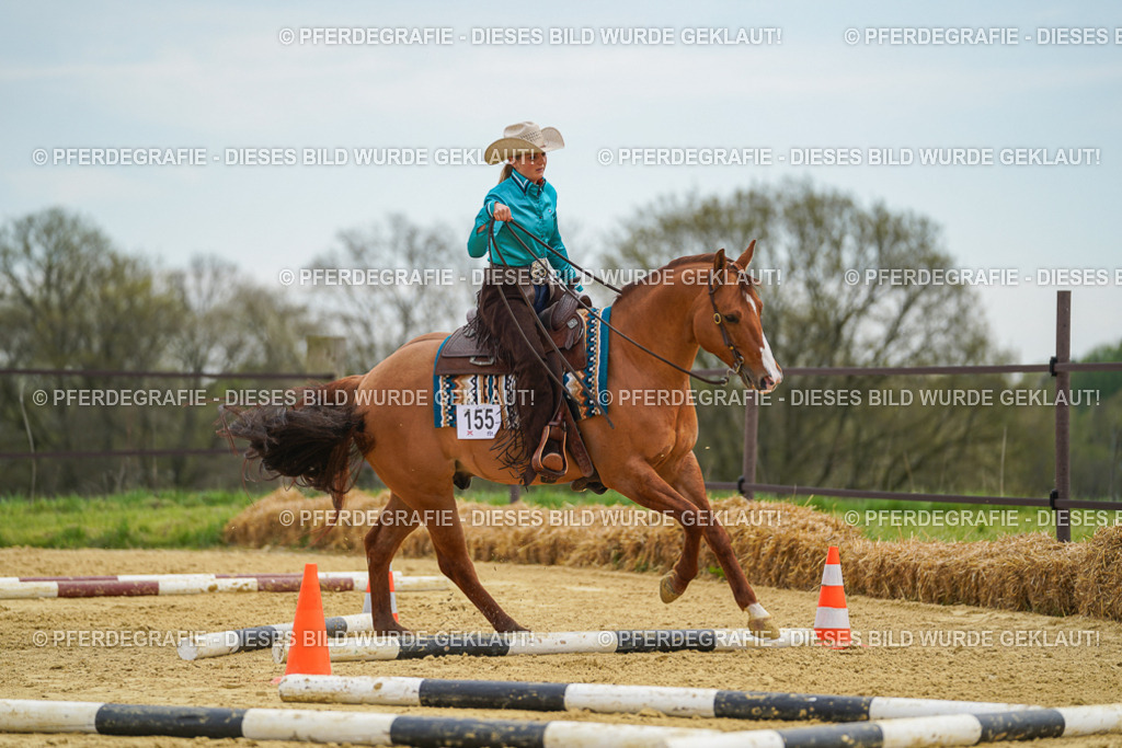 DSC03075 | Pferdegrafie