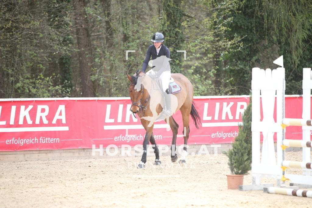 PP018004 | Willkommen bei Brunnmayr - Design & Fotografie – Ihrem Spezialisten für Reitturniere und Pferdeveranstaltungen in Oberösterreich, Salzburg und Bayern! Seit über 17 Jahren sind wir leidenschaftlich dabei.