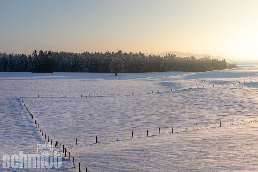 PS-Winter-2026-53 | Entdecke die größte Bildgalerie der Region mit Fotografien aus dem Allgäu, der Bodenseeregion, Oberschwaben, dem Donautal und der Schwäbischen Alb. Landschaften, Luftaufnahmen und Reisefotografie als Wandbild und Fotokunst. - Realisiert mit Pictrs.com