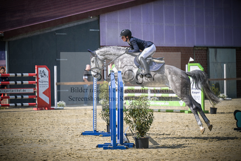 DOS_7115 | Entdecke hochwertige Reitturnierfotos von Foto Oger. Professionell, emotional und authentisch – jetzt Lieblingsmomente im Shop bestellen.Deutschlandweite Turnierfotografie. - Realisiert mit Pictrs.com