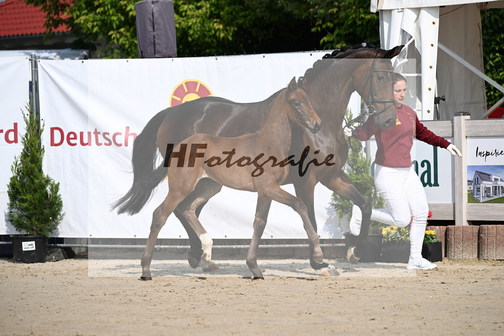 Sane x Fuerst Romancier_SF_Fritz_12250071 | hf-fotografie - Realisiert mit Pictrs.com
