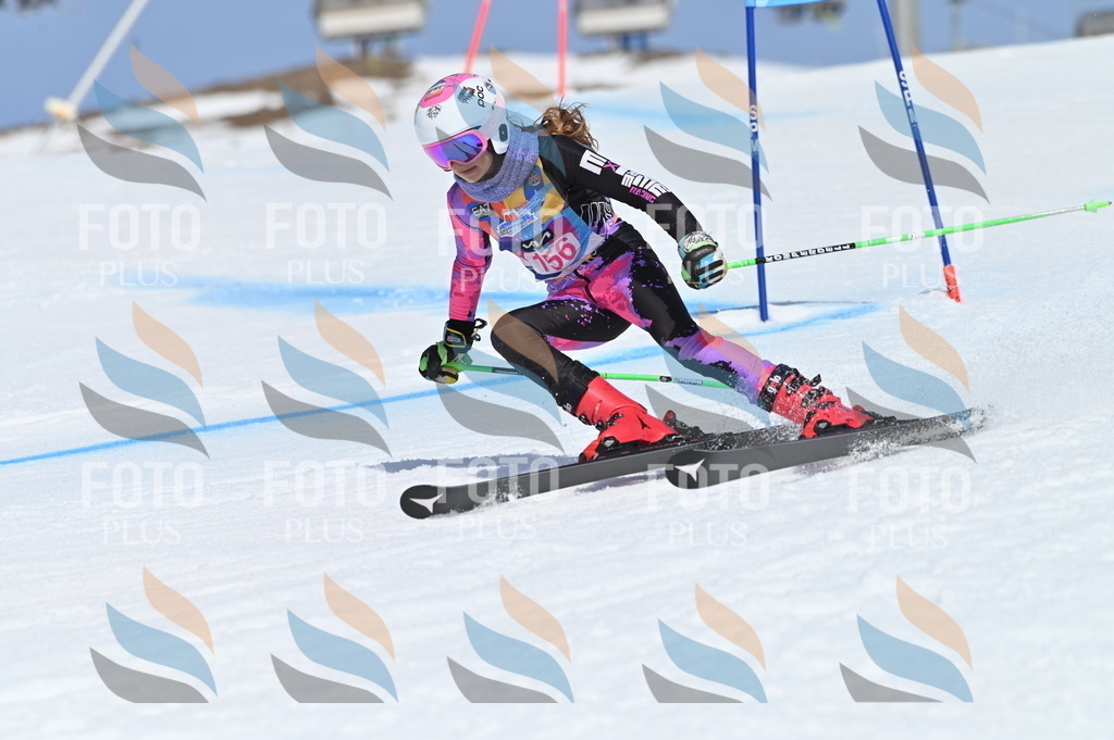 BGV_0168 | holidayphoto