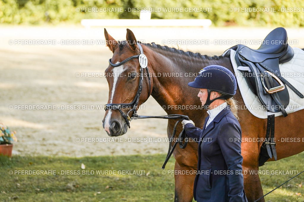 DSC05938 | Pferdegrafie