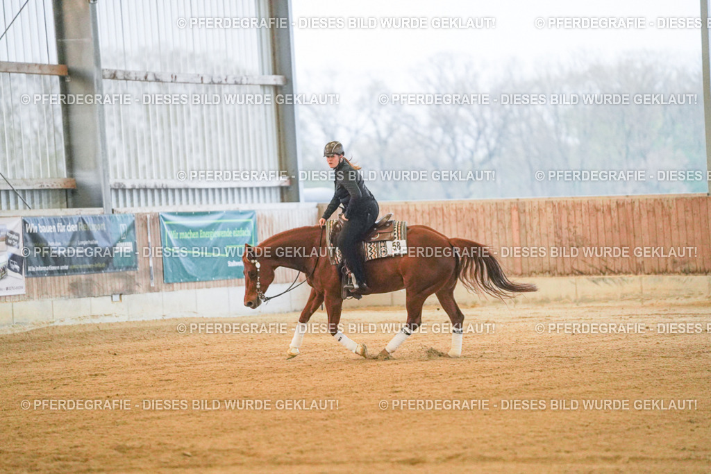 DSC09255 | Pferdegrafie