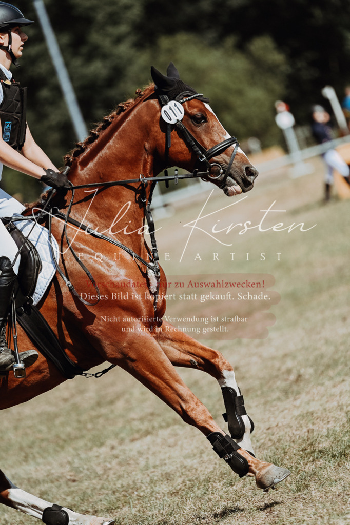 DSC_9931 | Pferde- und Turnierfotografie in Westsachsen. Pferdeportraits, Auftragszeichnungen und intuitive Kunst.